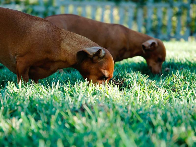 超现实主义<br>ujcbtdu.cn 达利融化的钟